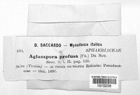 Image Associated With the Occurence